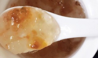 雪燕的正确炖法和吃法 雪燕应该怎么泡发