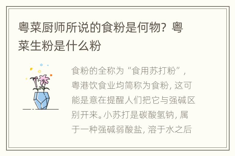 粤菜厨师所说的食粉是何物？ 粤菜生粉是什么粉