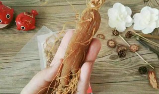 红参的功效与作用及禁忌有哪些 红参的功效与作用及禁忌是什么