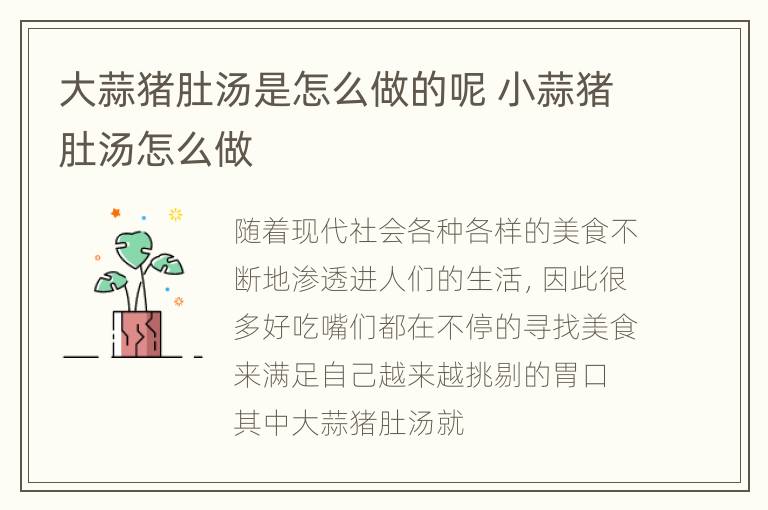 大蒜猪肚汤是怎么做的呢 小蒜猪肚汤怎么做