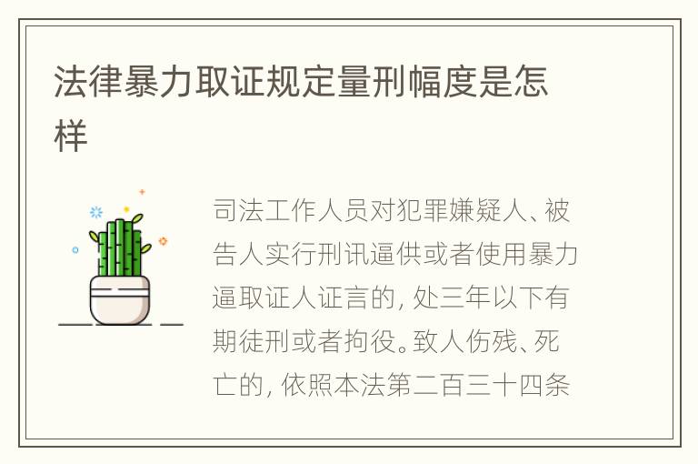 法律暴力取证规定量刑幅度是怎样