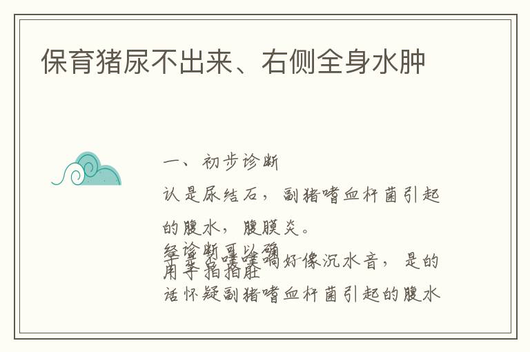 保育猪尿不出来、右侧全身水肿