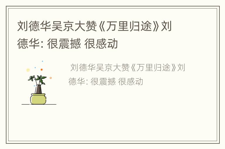 刘德华吴京大赞《万里归途》刘德华：很震撼 很感动