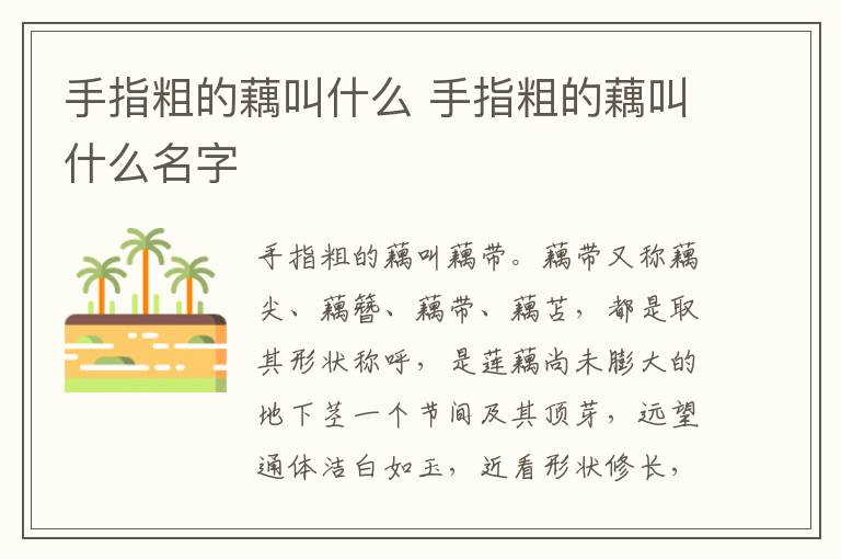 手指粗的藕叫什么 手指粗的藕叫什么名字
