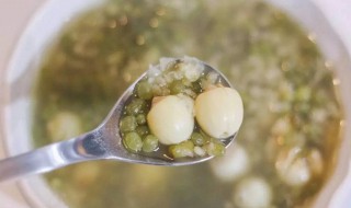 绿豆百合莲子粥的禁忌 食用绿豆百合莲子粥的注意事项