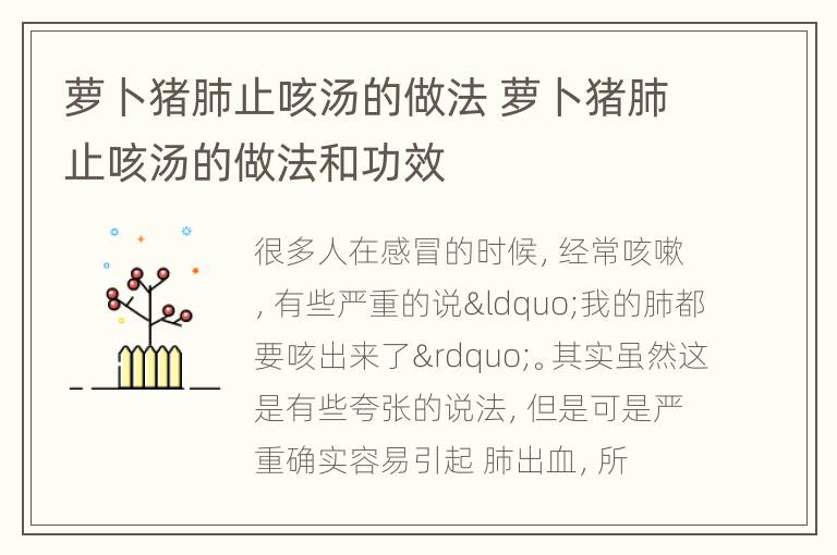 萝卜猪肺止咳汤的做法 萝卜猪肺止咳汤的做法和功效