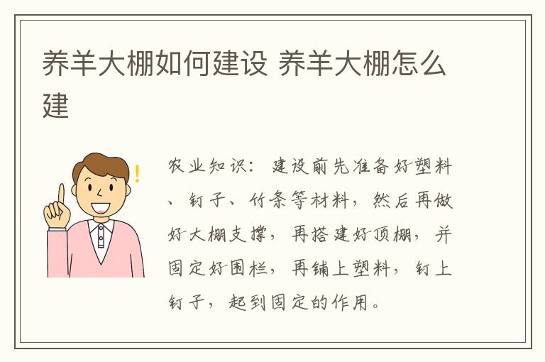 养羊大棚如何建设 养羊大棚怎么建