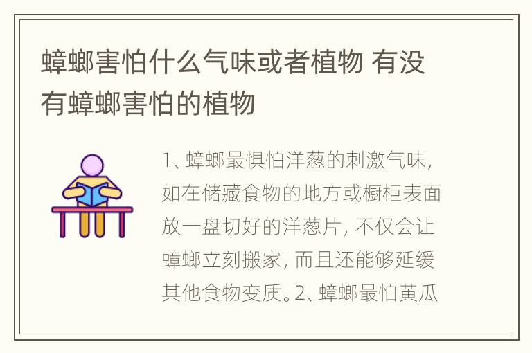 蟑螂害怕什么气味或者植物 有没有蟑螂害怕的植物