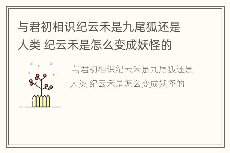 与君初相识纪云禾是九尾狐还是人类 纪云禾是怎么变成妖怪的