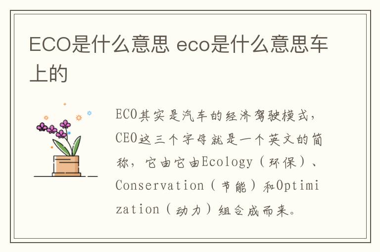 ECO是什么意思 eco是什么意思车上的