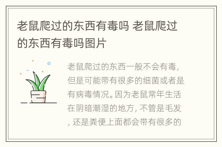 老鼠爬过的东西有毒吗 老鼠爬过的东西有毒吗图片