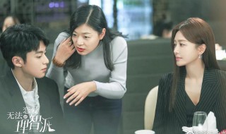 理智派生活电视剧剧情介绍 理智派生活剧情简介