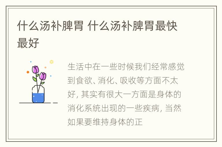 什么汤补脾胃 什么汤补脾胃最快最好