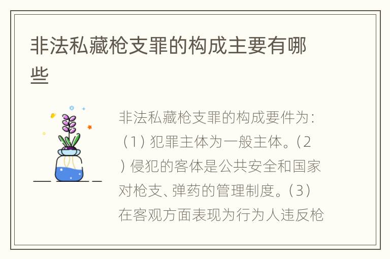 非法私藏枪支罪的构成主要有哪些