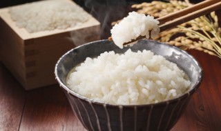 米饭预处理保鲜存放技巧 米饭怎么保存更新鲜