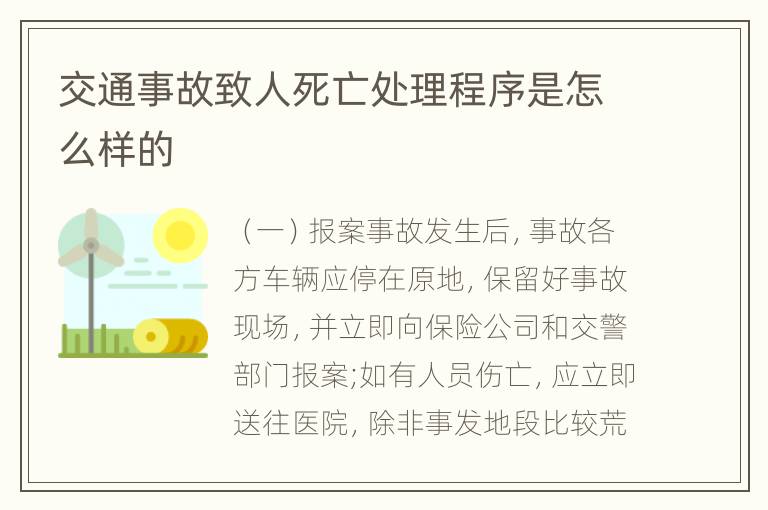 交通事故致人死亡处理程序是怎么样的