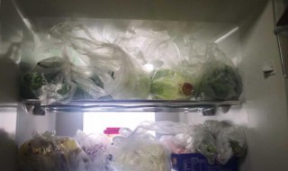 烧好的菜放在冰箱可以放几天 烧好的菜如何保存