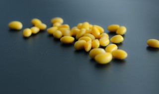 新鲜黄豆的保存技巧（黄豆如何保鲜）