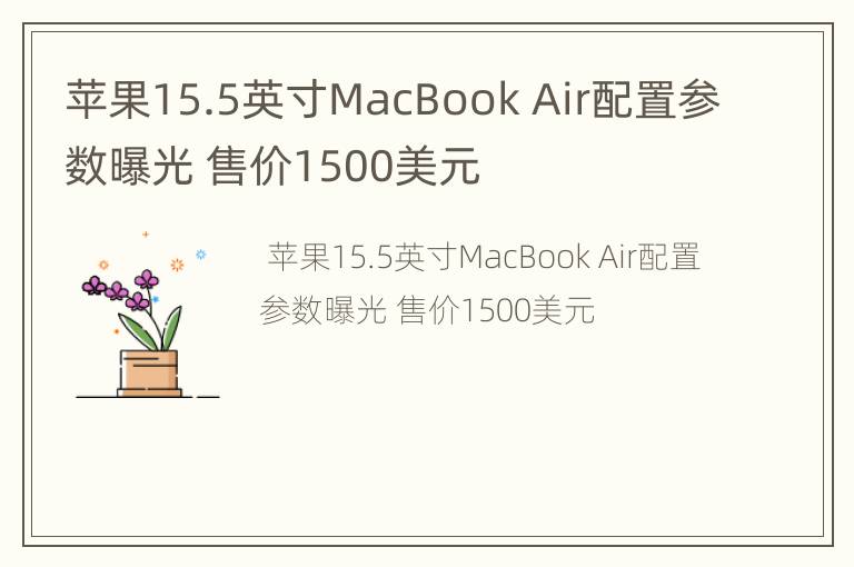 苹果15.5英寸MacBook Air配置参数曝光 售价1500美元