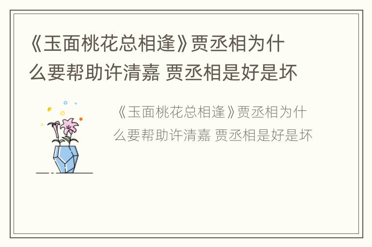 《玉面桃花总相逢》贾丞相为什么要帮助许清嘉 贾丞相是好是坏