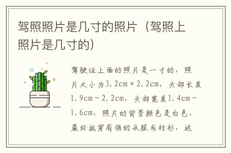 驾照照片是几寸的照片（驾照上照片是几寸的）