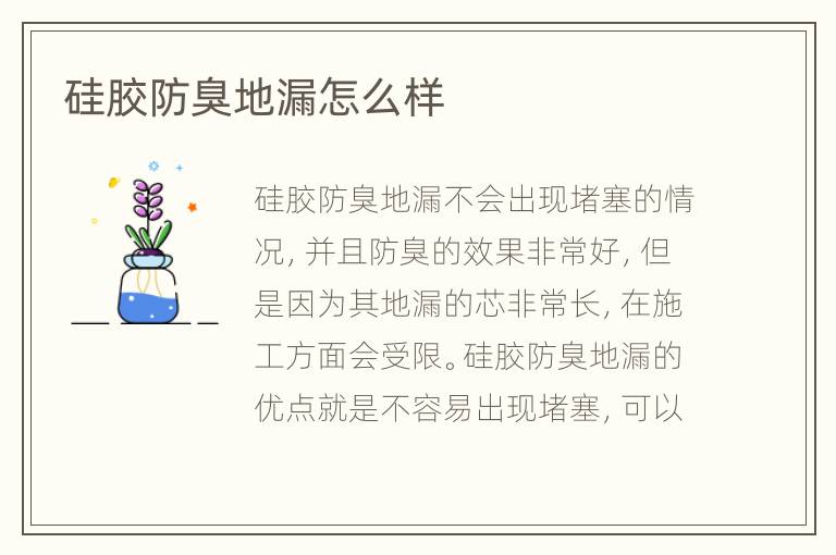 硅胶防臭地漏怎么样