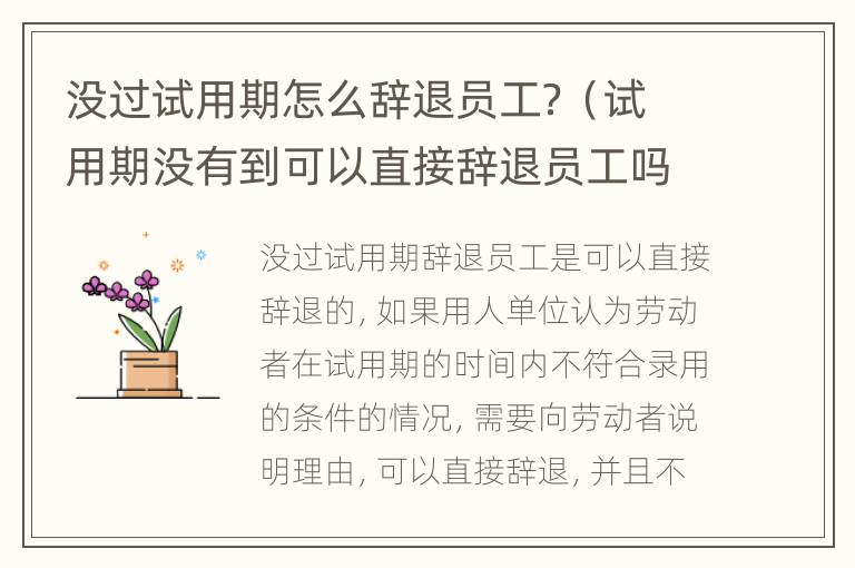 没过试用期怎么辞退员工？（试用期没有到可以直接辞退员工吗）