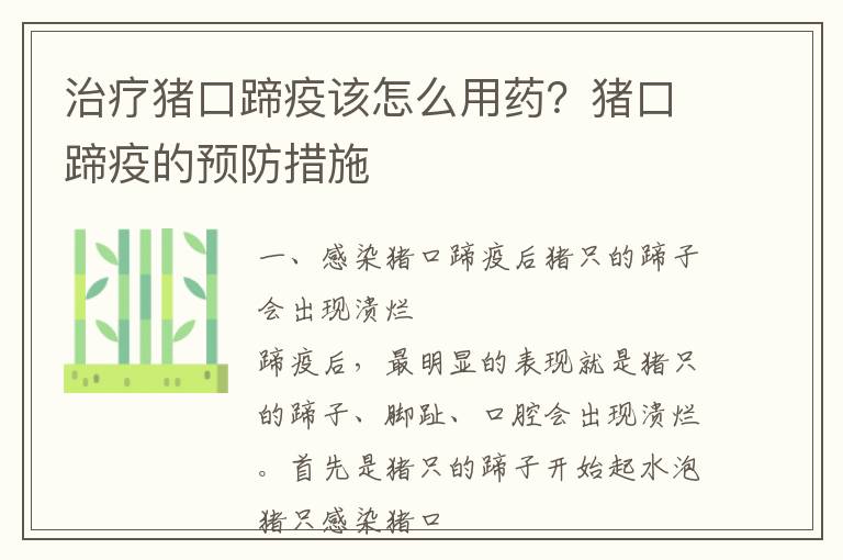 治疗猪口蹄疫该怎么用药？猪口蹄疫的预防措施