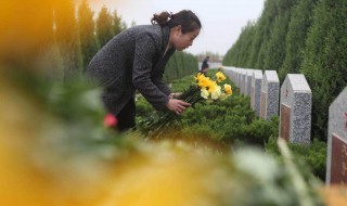 清明节扫墓带的东西 清明节扫墓带什么东西