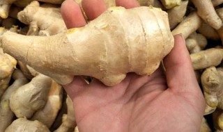 过量吃生姜有什么危害 吃太多的生姜有哪些副作用