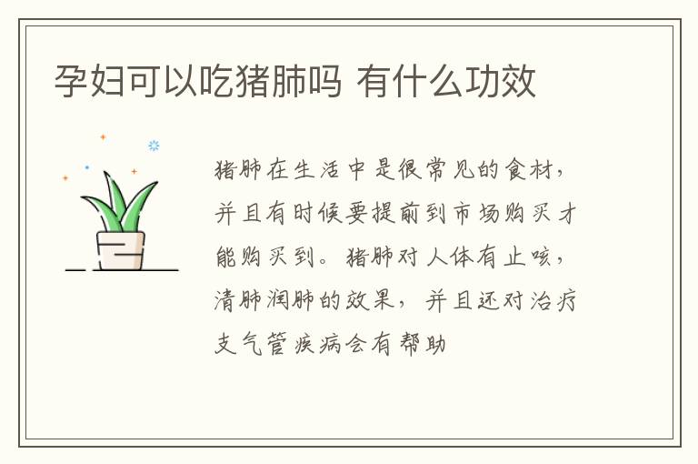 孕妇可以吃猪肺吗 有什么功效