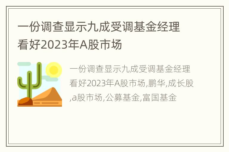 一份调查显示九成受调基金经理看好2023年A股市场