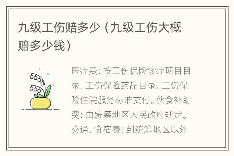 九级工伤赔多少（九级工伤大概赔多少钱）