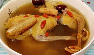 乳鸽怎么做最滋补 乳鸽汤最滋补的做法