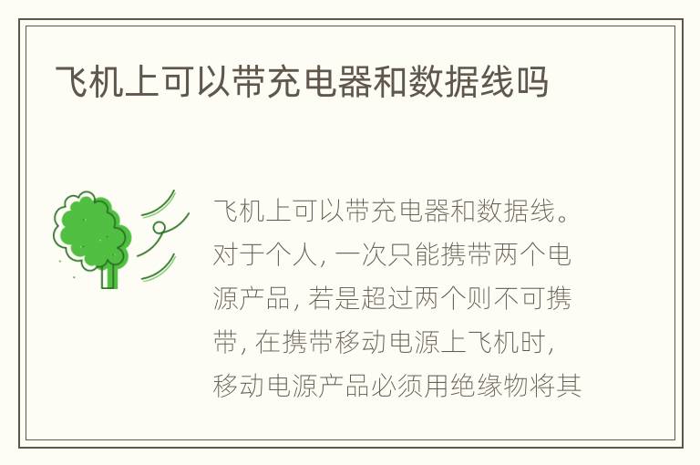 飞机上可以带充电器和数据线吗