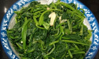 蒜味番薯叶做法步骤 蒜味番薯叶需要哪些材料