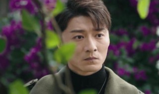 司藤单志刚是妖吗 单志刚身份介绍