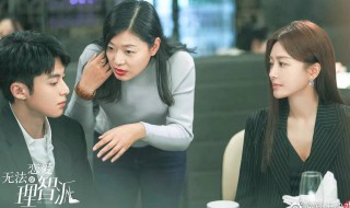 无法恋爱的理智派小说 无法恋爱的理智派的简介