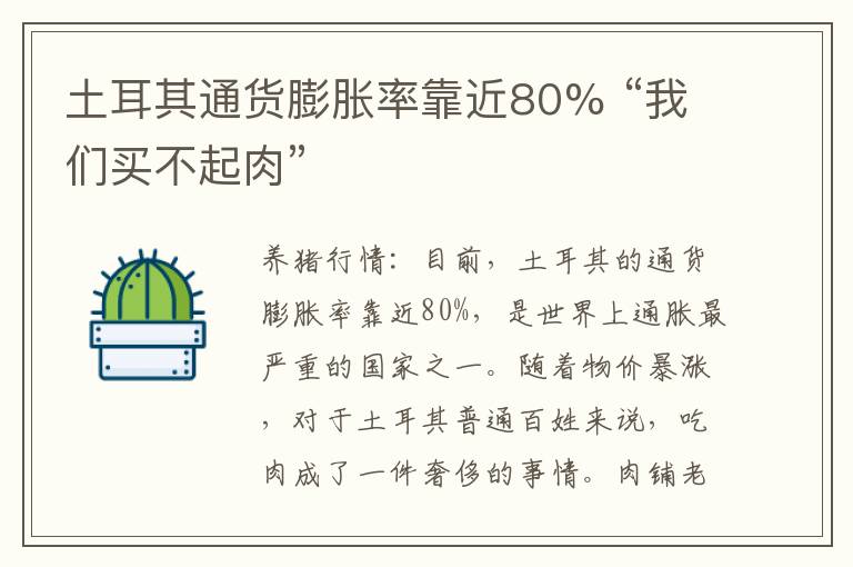 土耳其通货膨胀率靠近80% “我们买不起肉”