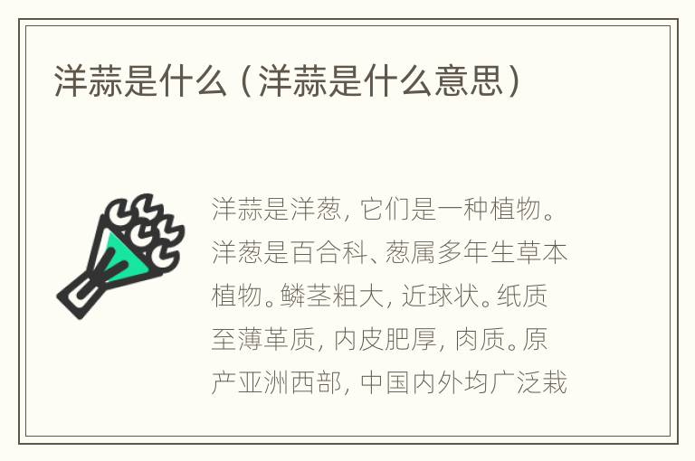 洋蒜是什么（洋蒜是什么意思）