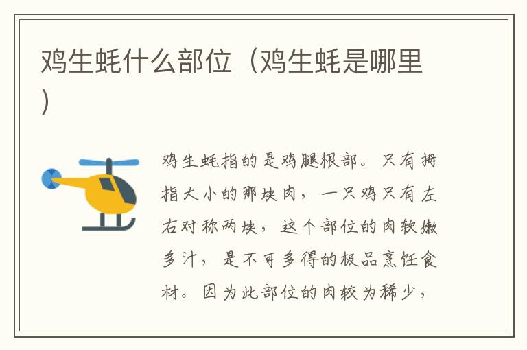 鸡生蚝什么部位（鸡生蚝是哪里）