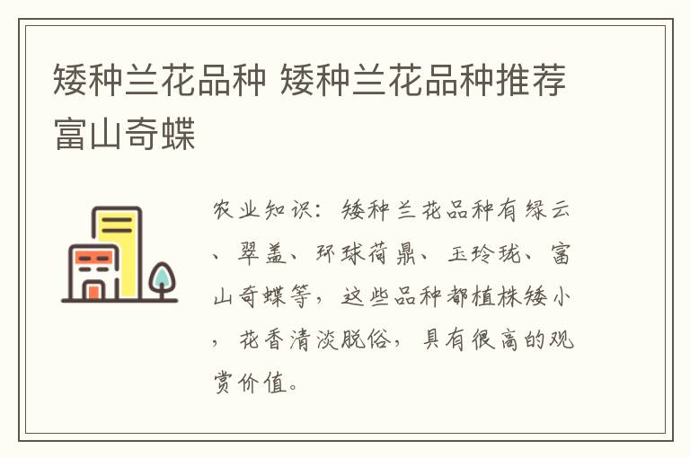 矮种兰花品种 矮种兰花品种推荐富山奇蝶
