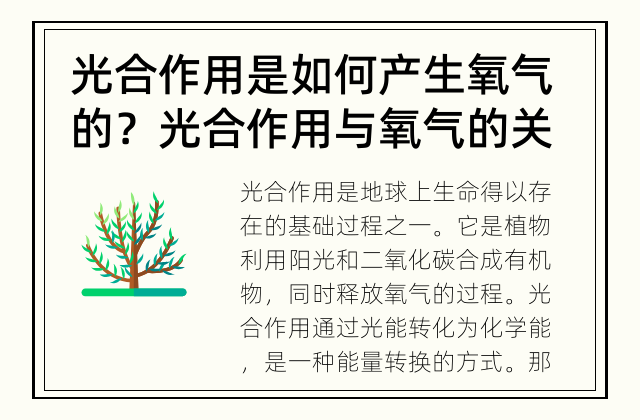 光合作用是如何产生氧气的？ 光合作用与氧气的关系