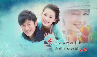 花开半夏剧情分集介绍 花开半夏剧情简介