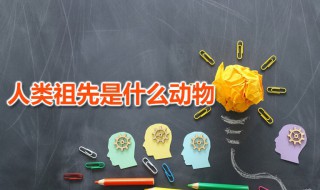 人类祖先是什么动物 人类祖先生活在什么时候