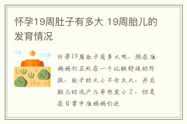 怀孕19周肚子有多大 19周胎儿的发育情况