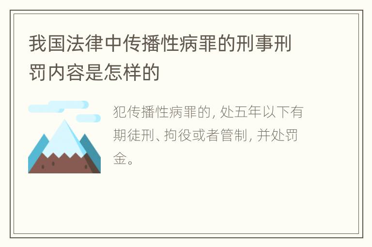 我国法律中传播性病罪的刑事刑罚内容是怎样的