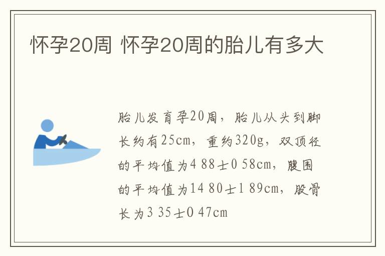 怀孕20周 怀孕20周的胎儿有多大
