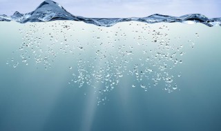 水费用户编号在哪里查 查水费用户编号方法