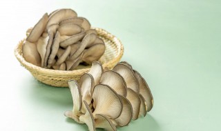 羊肉炖蘑菇的做法 羊肉炖蘑菇的烹饪方法